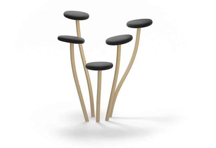 Fungi5_01_Produktoversikt